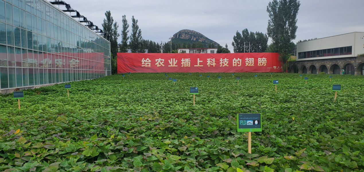 5 乡村振兴齐鲁样板“尼山鹿鸣”示范区实景图.png