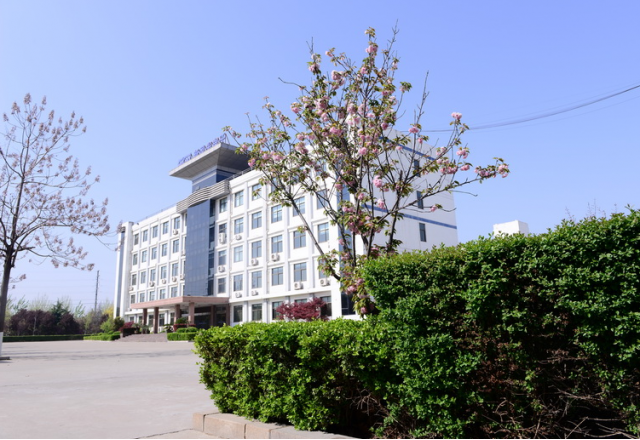 公司荣获“山东省先进中小企业”称号